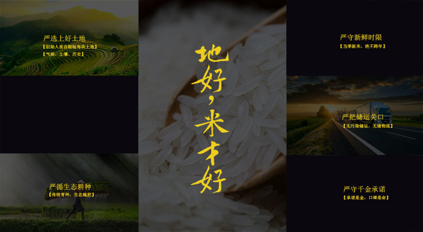 光荣网络光荣文创